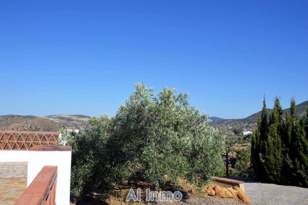 Villa Las Palmeras - Ein Stück vom Paradies - Behagliches Haus mit Pool Algodonales Exterior foto